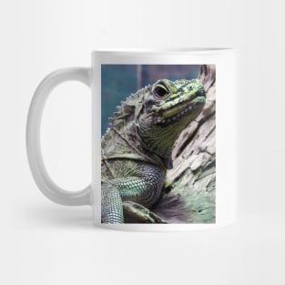 Sailfin Lizard Mug